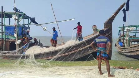 সাগর এক, ইলিশও এক-তবু নিষেধাজ্ঞায় দ্বৈততা!