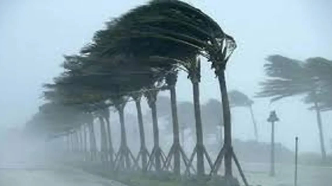 A glimpse of the storm
