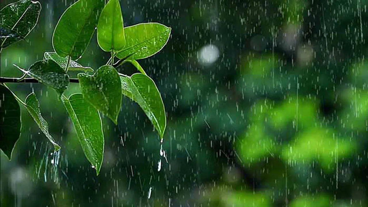 ঈদে ঢাকাসহ কয়েক বিভাগে বৃষ্টি, কমবে ভ্যাপসা গরমের অনুভূতি
