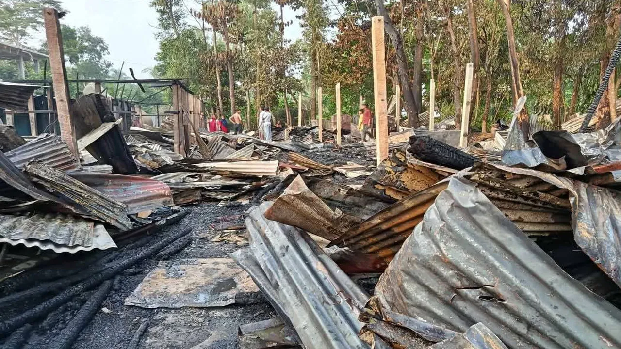 মিরসরাইয়ে শেষ রাতে ভয়াবহ আগুন, নিহত ১