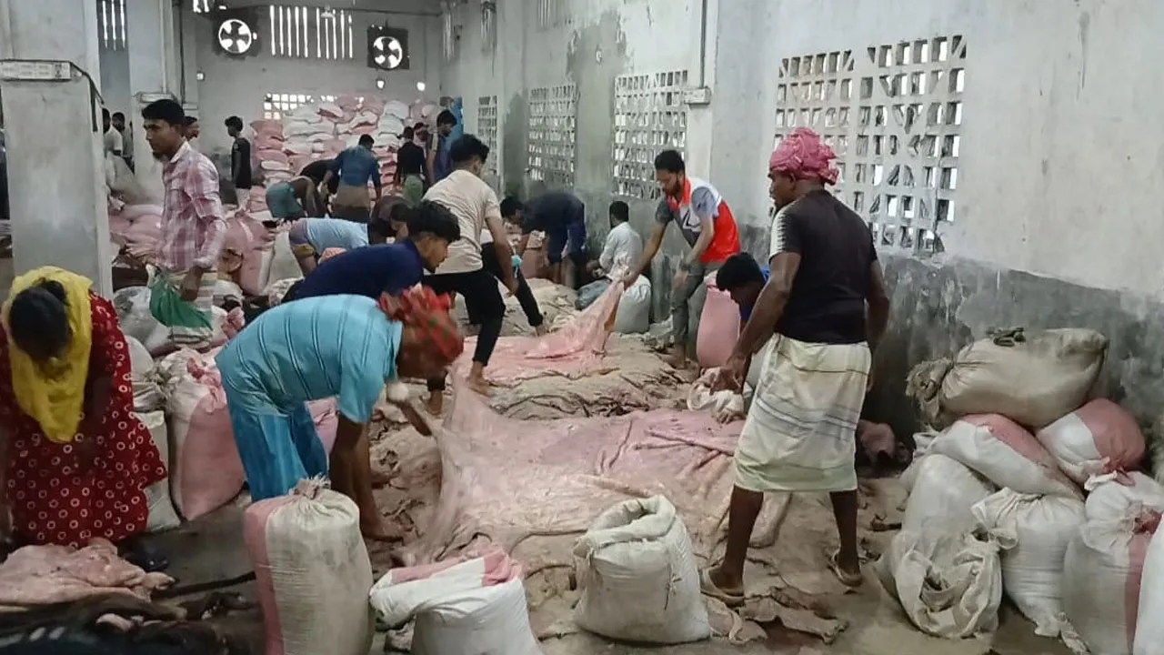 সাভারে চামড়া সংরক্ষণে ব্যস্ত ট্যানারি শ্রমিক ও মালিকরা