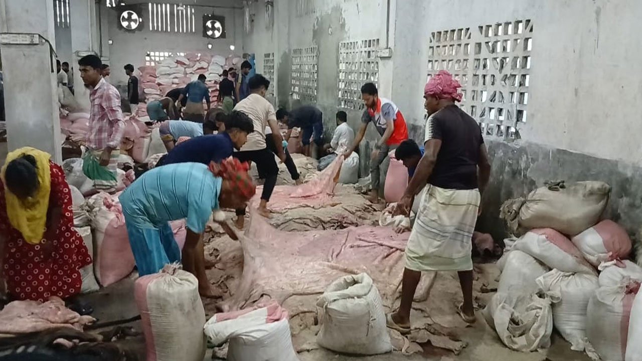 Tannery workers busy preserving leather