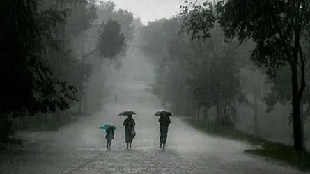 অতি বৃষ্টির পানি নিষ্কাশনে সক্ষমতা হারিয়েছে ঢাকা