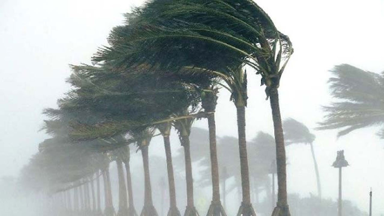 A glimpse of the storm
