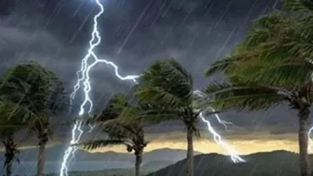 সখীপুরে মাছ ধরতে গিয়ে বজ্রপাতে কিশোরের মৃত্যু