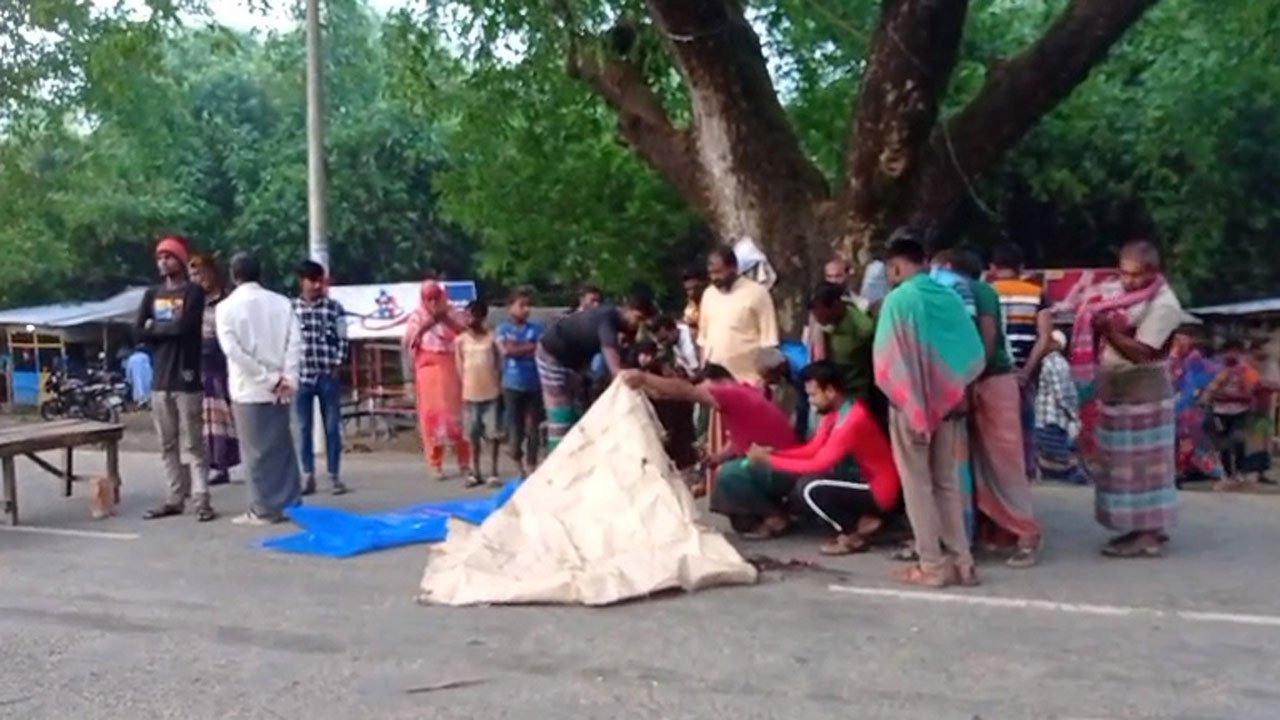 চুয়াডাঙ্গা-ঝিনাইদহ মহাসড়কে পাখিভ্যানকে পিষ্ট হয়ে চালকসহ নিহত ২