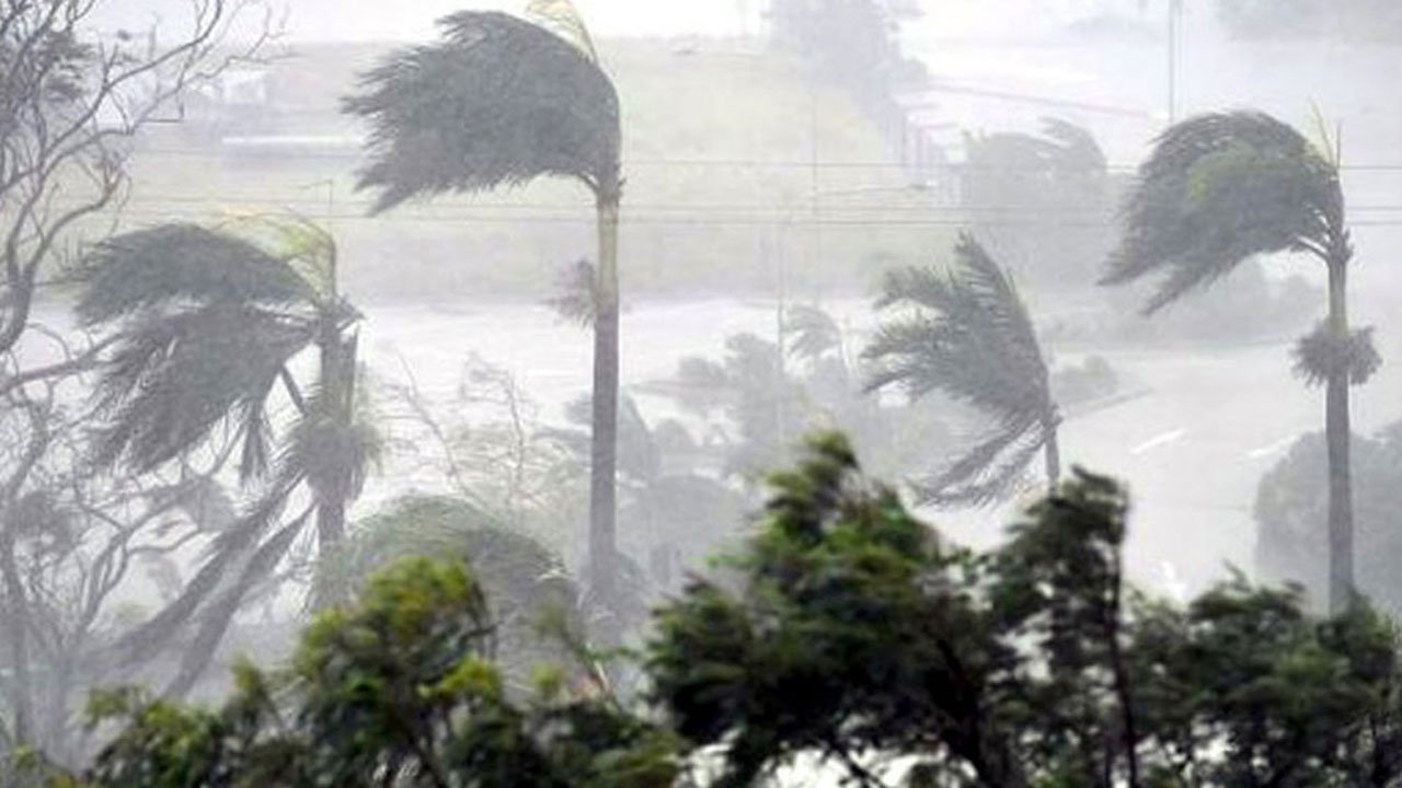 A glimpse of the storm