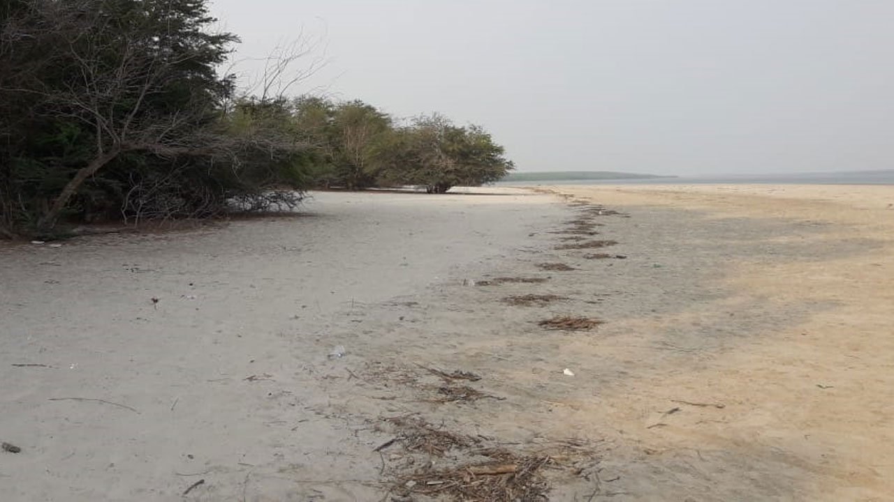 চর হেয়ার দ্বীপ
