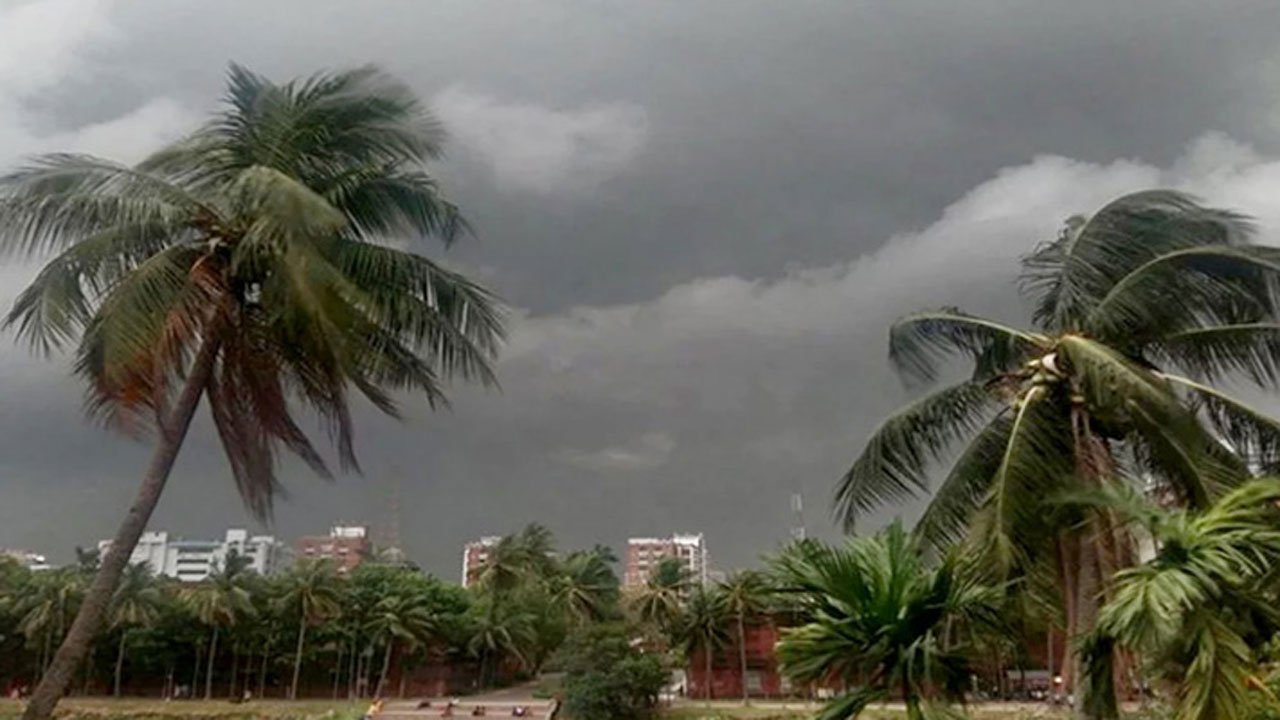 A glimpse of the storm