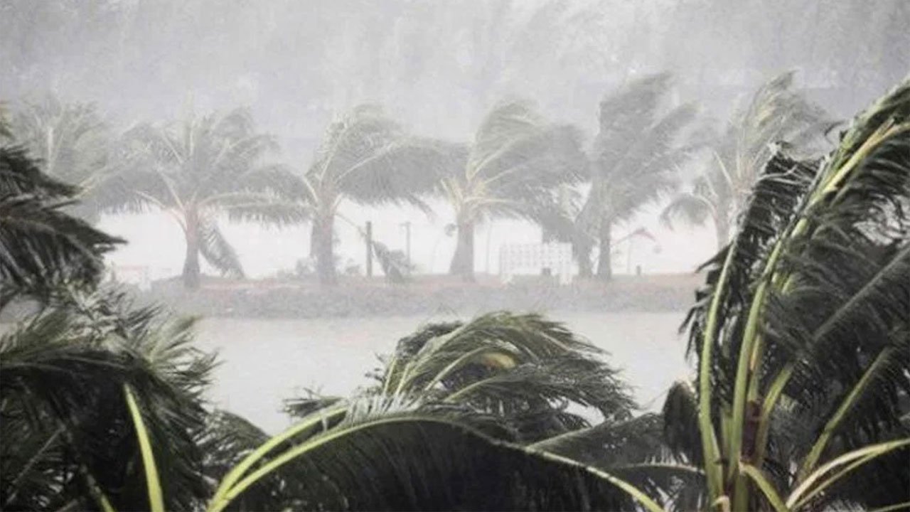 A glimpse of the storm