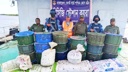 সুন্দরবনে কোস্ট গার্ডের অভিযানে ৮৫০ কেজি অবৈধ কাঁকড়া জব্দ