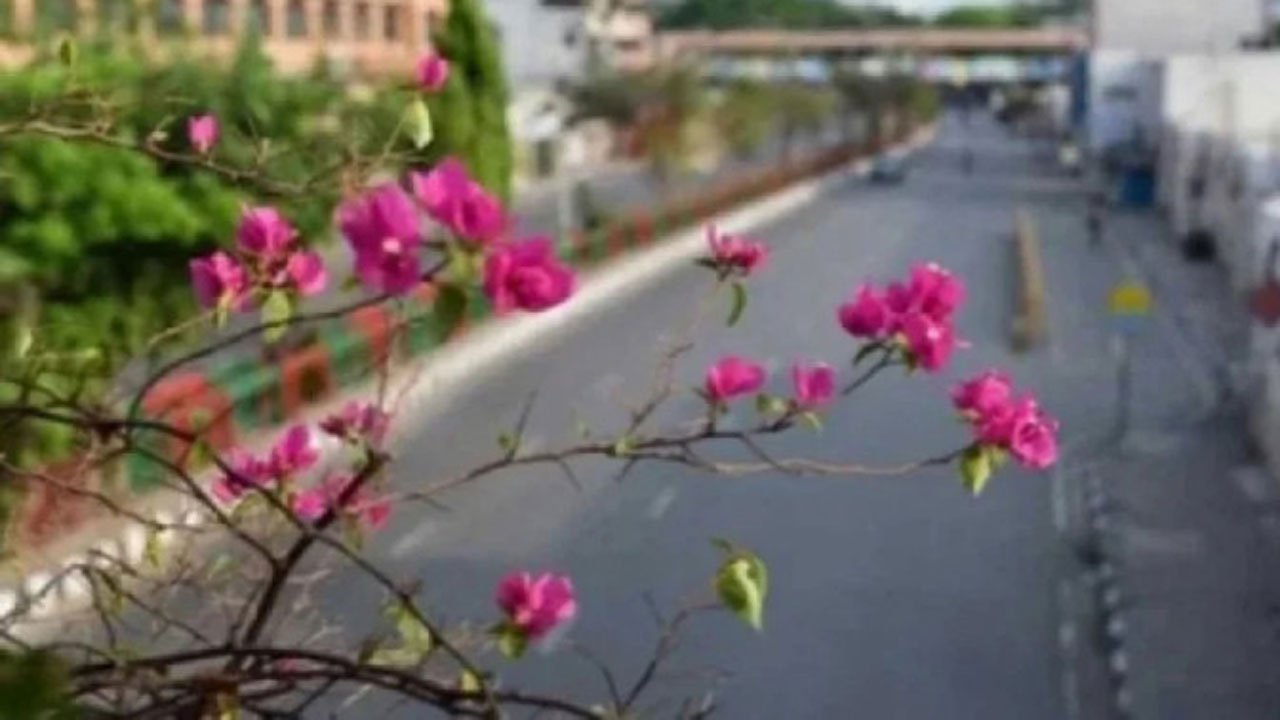Dhaka city
