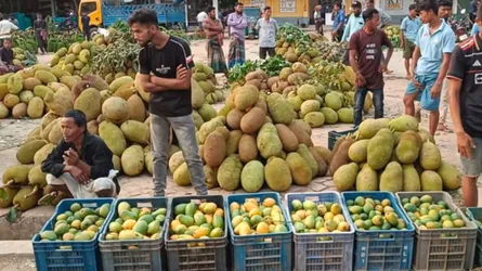 রামগড়ে পাহাড়ি ফলের রমরমা বাজার
