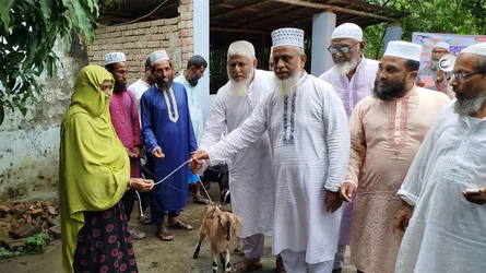 তালায় জামায়াতের উদ্যোগে গরু-ছাগল বিতরণ