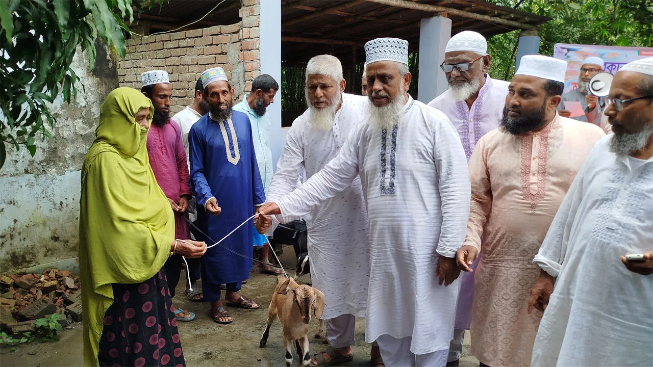 তালায় জামায়াতের উদ্যোগে গরু-ছাগল বিতরণ