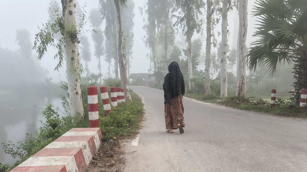 Winter arrives in Gaibandha, a new touch of the season in nature