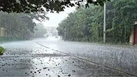 বৃষ্টির সম্ভাবনা, তাপমাত্রা বাড়তে পারে সামান্য