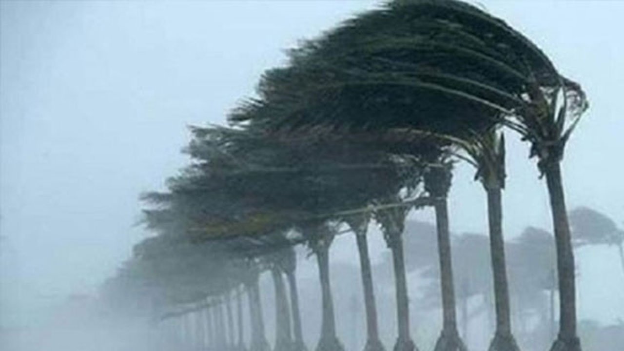 A glimpse of the storm