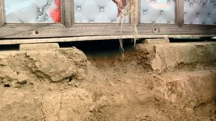 পটুয়াখালীতে সিঁধ কেটে অটোচালককে হত্যা