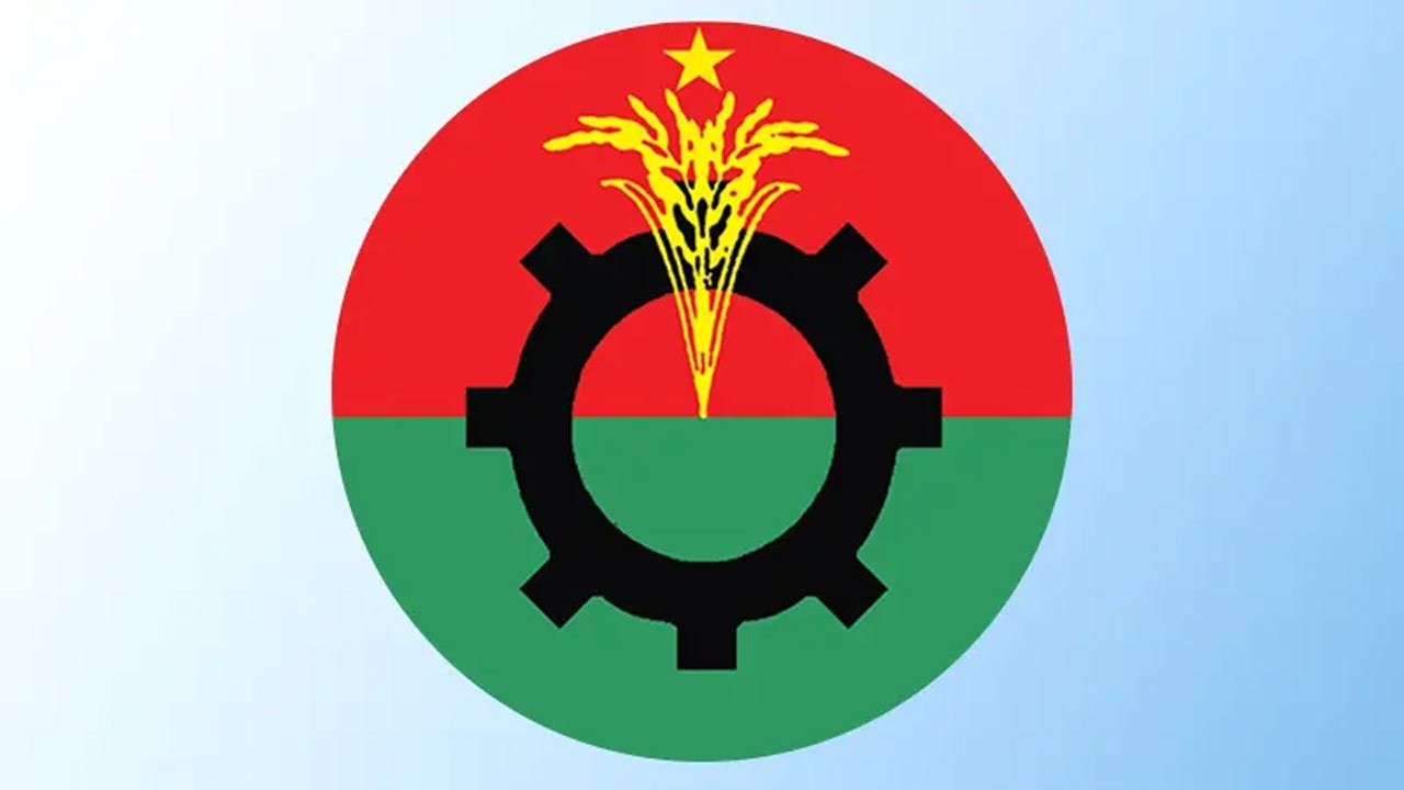 বিএনপি লোগো