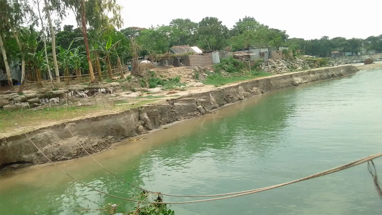 পদ্মায় বাড়ছে পানি, ভাঙন আতঙ্কে দৌলতদিয়া লঞ্চ-ফেরিঘাটসহ সহস্রাধিক পরিবার
