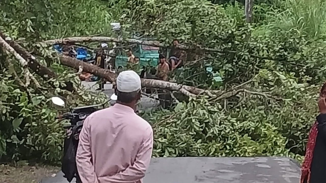 Road blocked by tree trunks