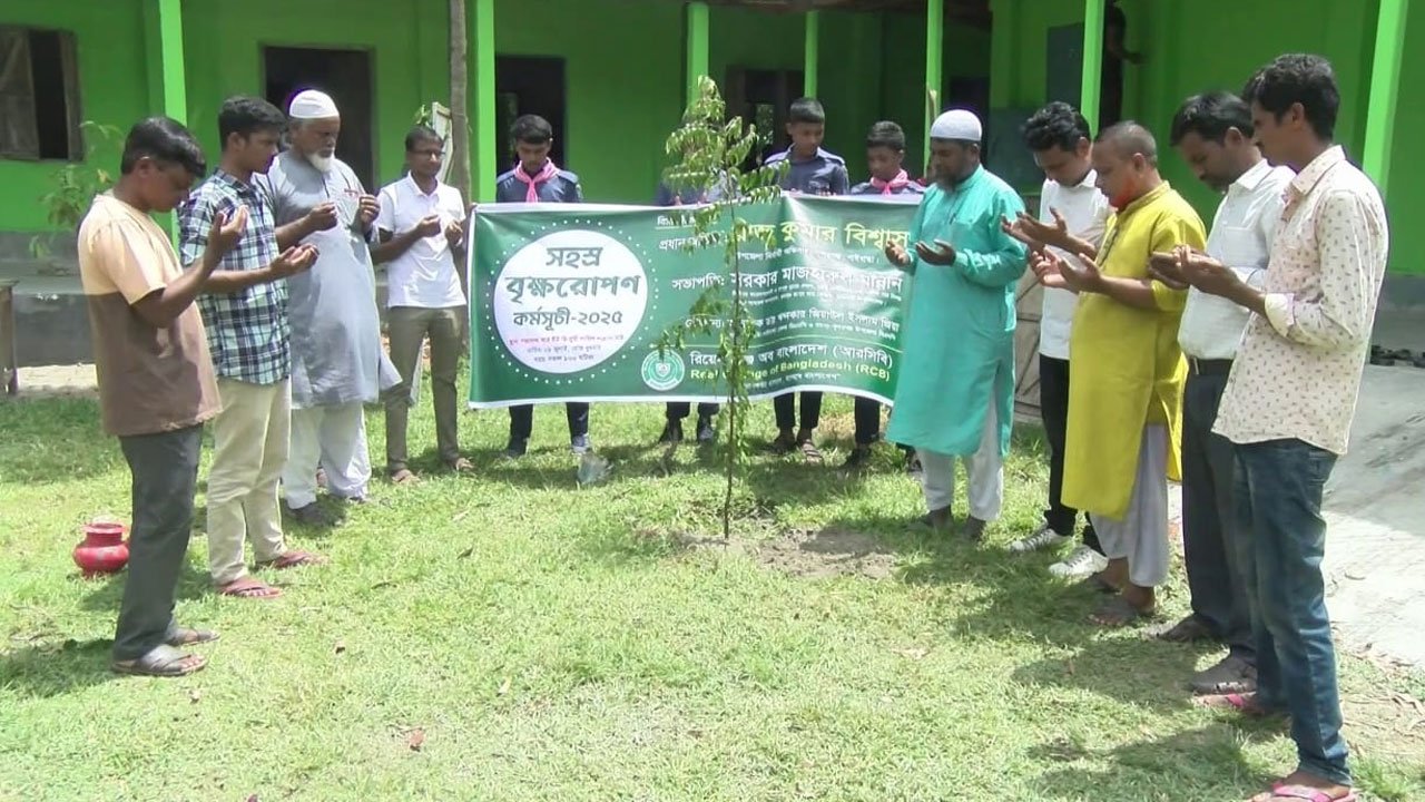 RCB Foundation's tree plantation program