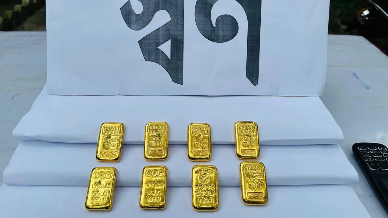 দামুড়হুদায় বিজিবির অভিযানে স্বর্ণের বারসহ আটক ১