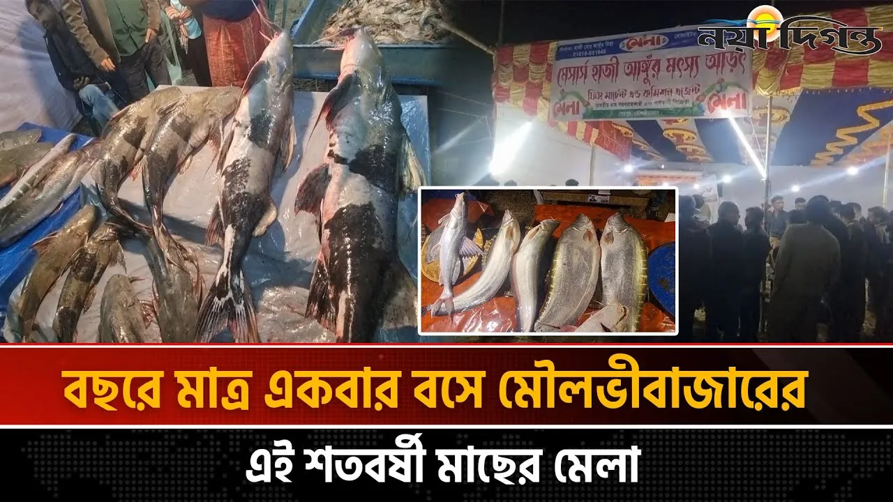 দুই দিনেই কয়েক কোটি টাকার মাছ বিক্রি হয় যে মেলায়