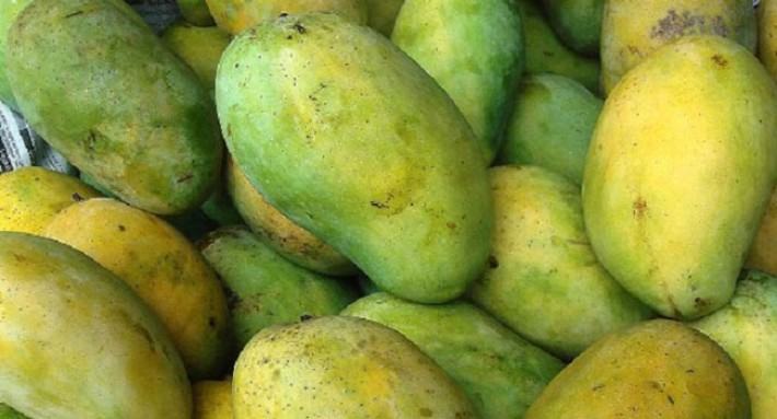 তবুও সয়লাব বিষাক্ত আমে