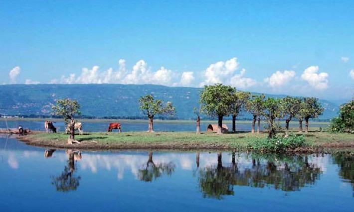 টাঙ্গুয়া হাওরে সোনালি স্বপ্নের হাতছানি