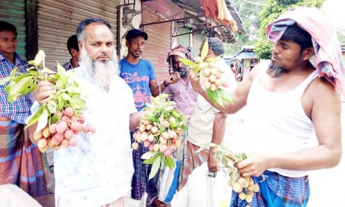 বাজারে আধাপাকা লিচুর সমাহার