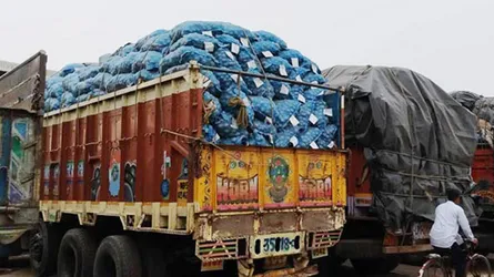বেনাপোল দিয়ে ৪৫ টন পেঁয়াজ আমদানি