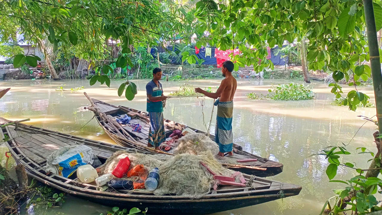 কাউখালীতে ভরা মৌসুমেও নদীতে ইলিশ মাছ পাচ্ছে না জেলেরা