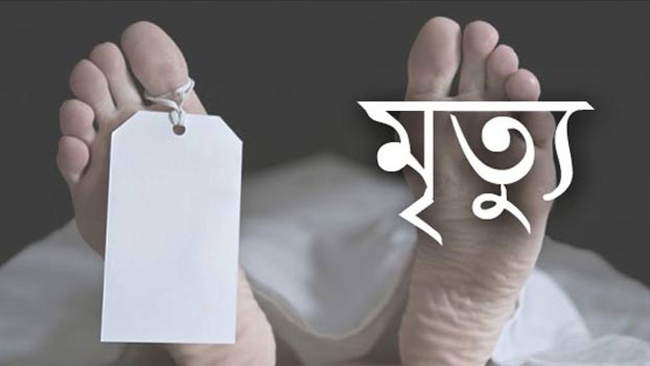 Van driver dies in train accident in Darshan