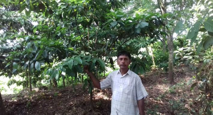 পাঠদান থেকেই শিক্ষক শামছুল আলমের এতো কৃষি আয়োজন