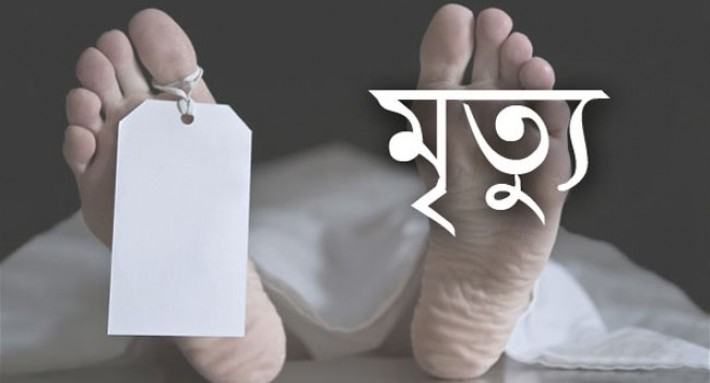 চুয়াডাঙ্গায় সাপের কামড়ে নারীর মৃত্যু