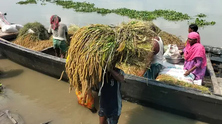 গাইবান্ধায় পাহাড়ী ঢল ও টানা বৃষ্টিতে বন্যার শঙ্কা