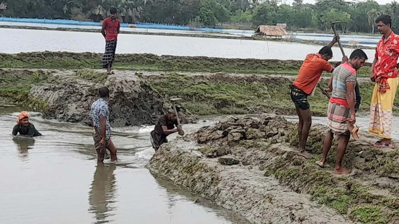রামপালে প্রতিমন্ত্রীর নির্দেশে খালের বাঁধ অপসারণ