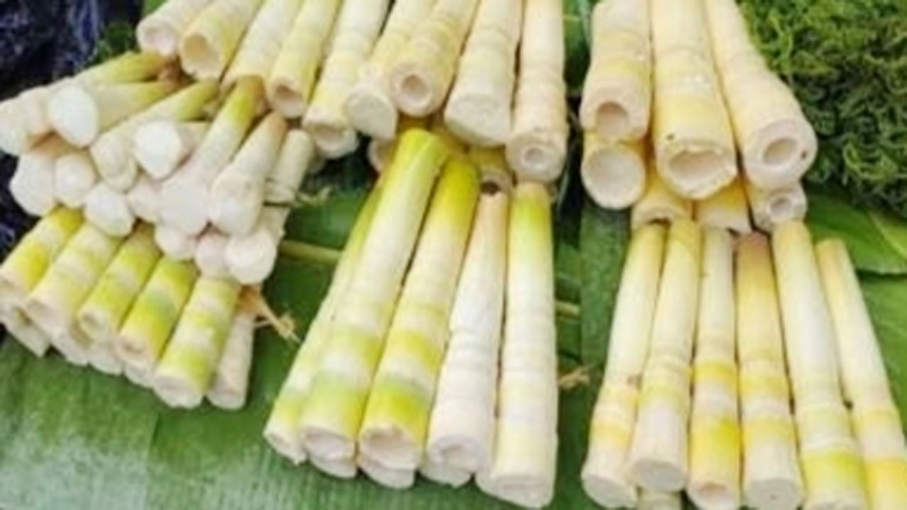 Bamboo shoots