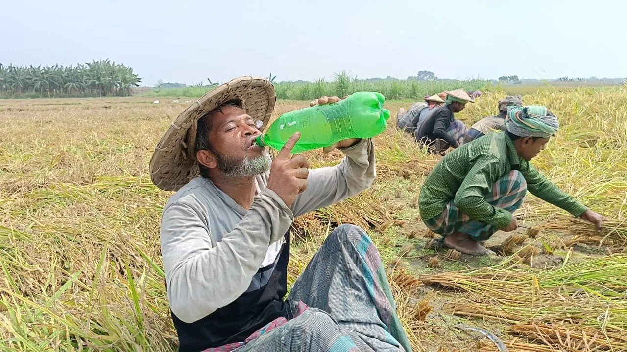 চুয়াডাঙ্গায় তাপমাত্রা ছাড়লো ৪১ ডিগ্রি