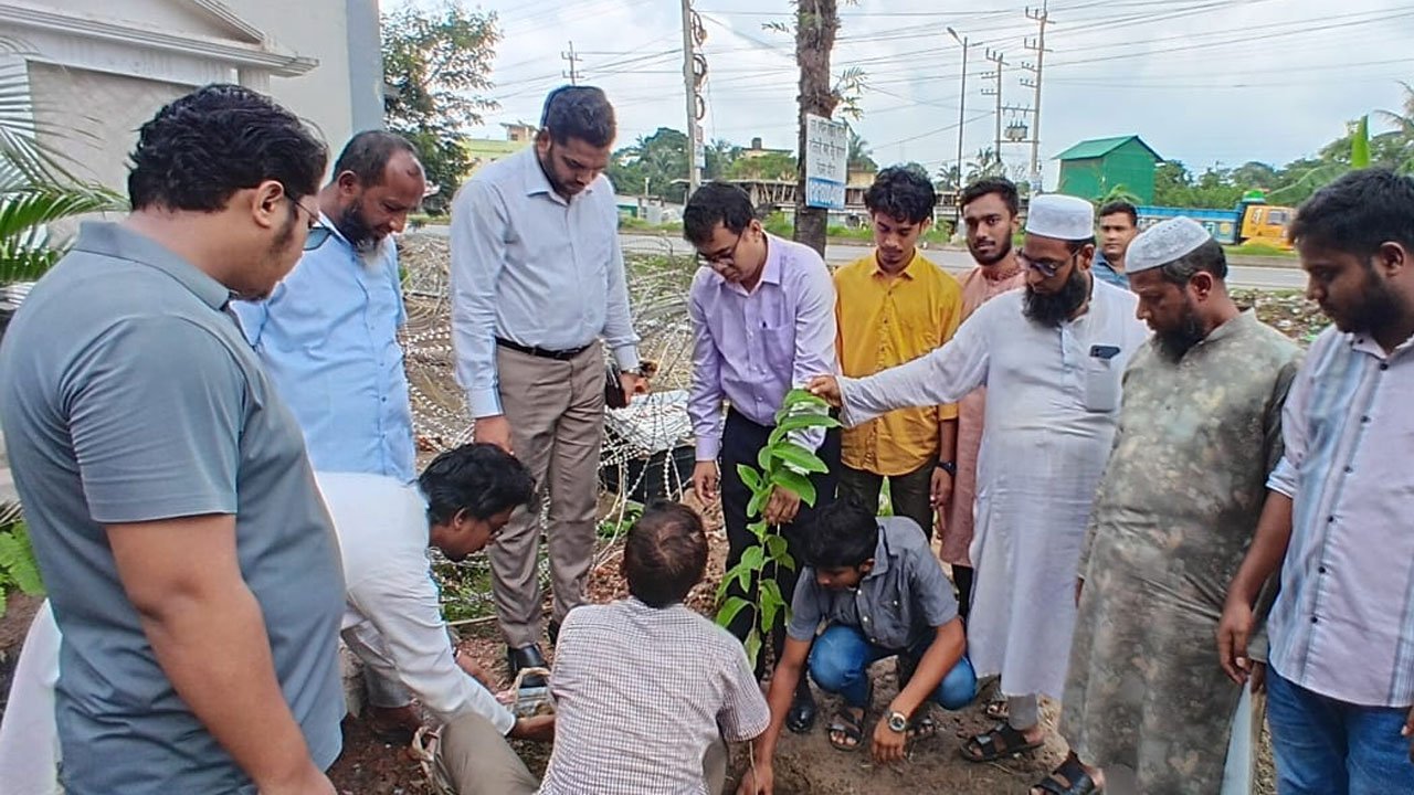 'One Martyr, One Tree' program in memory of martyrs in Daganbhuiyan