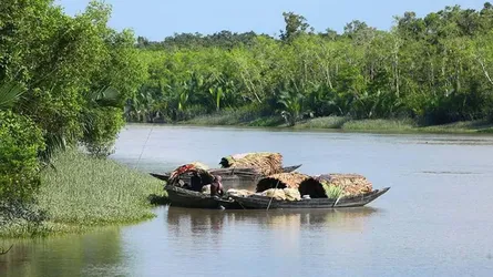 অস্ত্র ও গোলাবারুদসহ সুন্দরবনের দুর্ধর্ষ ডাকাত করিম শরীফ বাহিনীর সহযোগী আটক