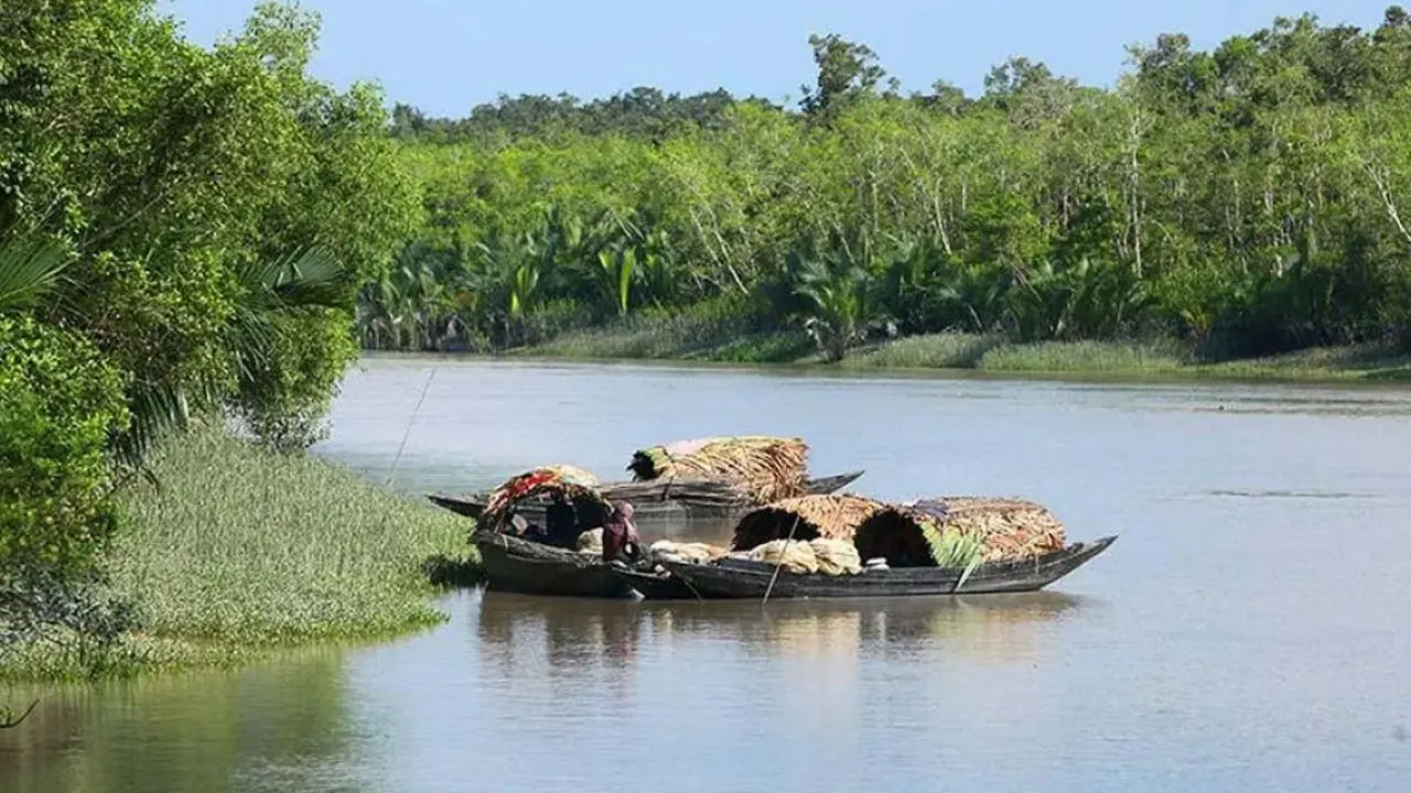 অস্ত্র ও গোলাবারুদসহ সুন্দরবনের দুর্ধর্ষ ডাকাত করিম শরীফ বাহিনীর সহযোগী আটক
