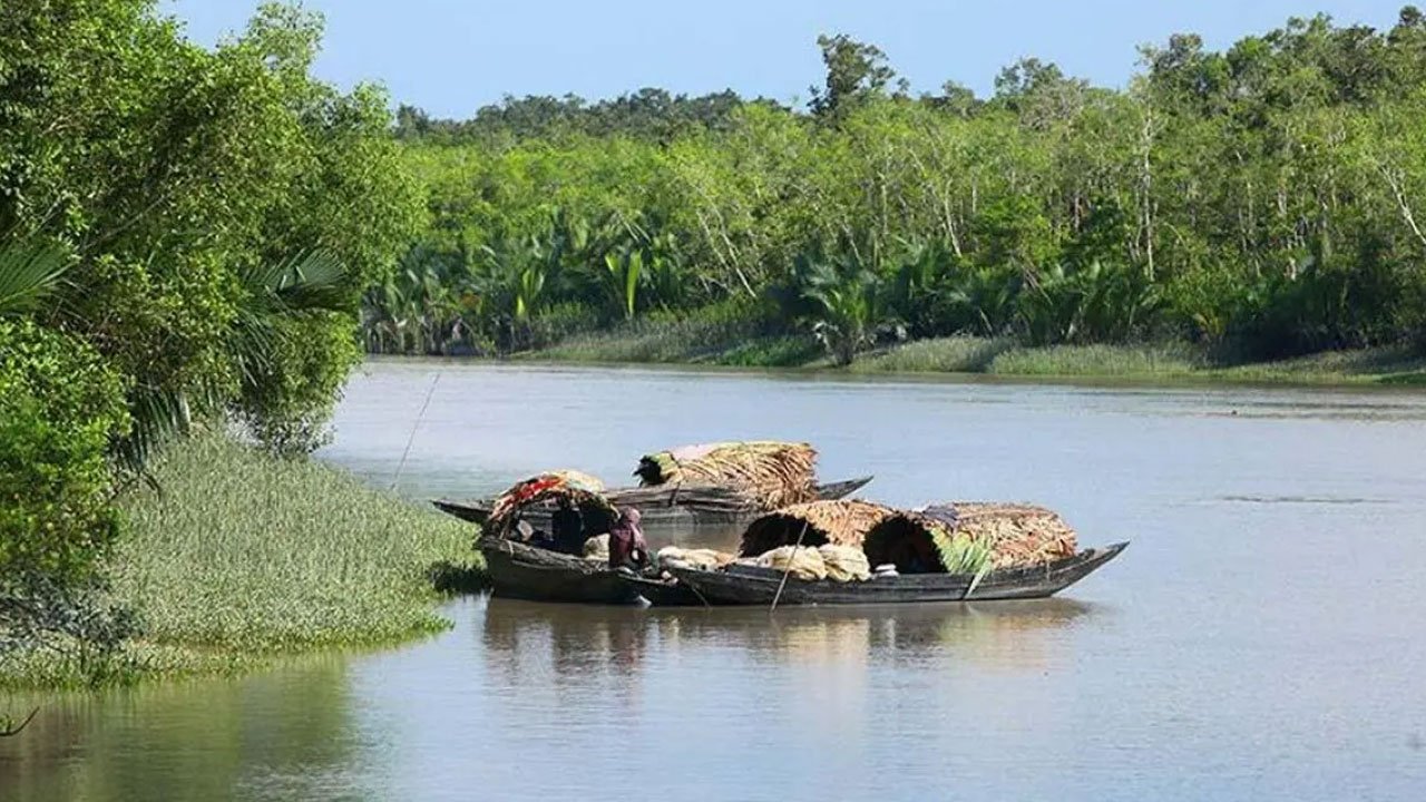 সুন্দরবনের ১০ কিলোমিটার এলাকাজুড়ে নতুন শিল্পপ্রতিষ্ঠান স্থাপনে নিষেধাজ্ঞা
