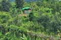 Rohingya youth injured in Myanmar firing at Ukhia border