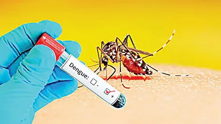 ডেঙ্গুতে এক দিনে ৬ জনের মৃত্যু, হাসপাতালে ভর্তি ৯৫৩