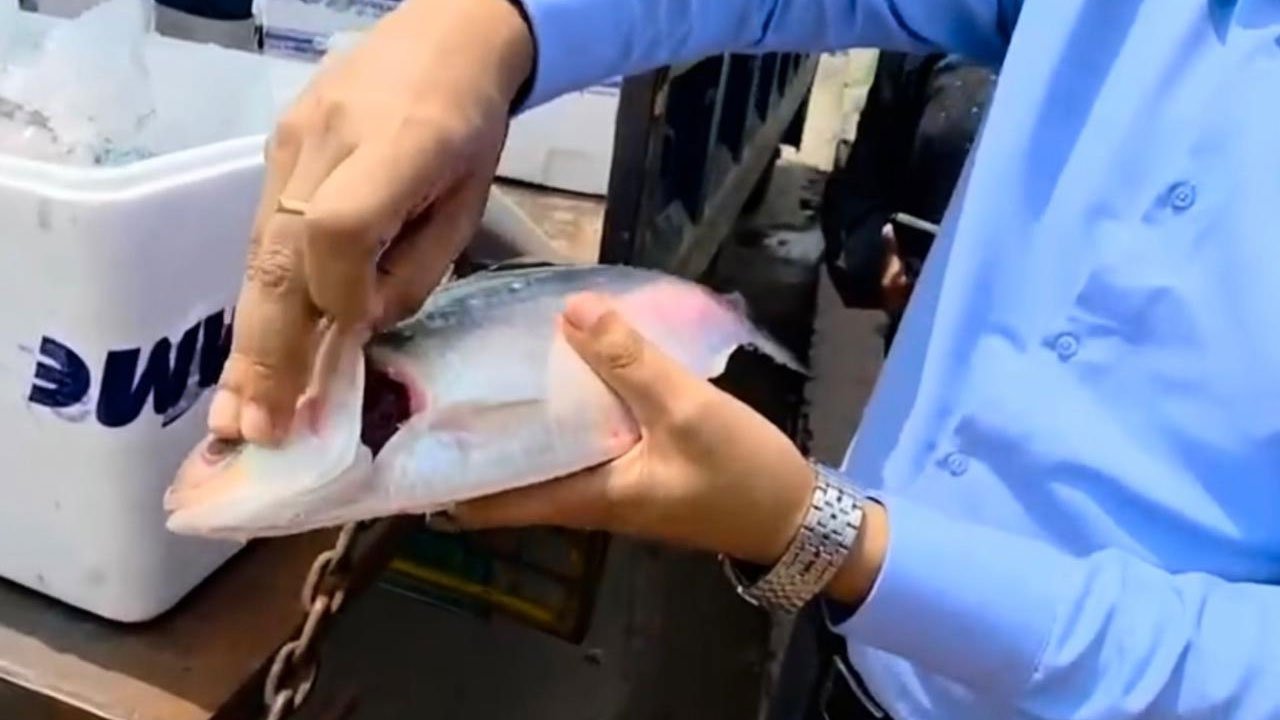 102.214 tons of Hilsa exported to India on the occasion of Durga Puja