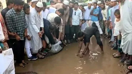 দেবিদ্বারে ভাঙা সড়কে মাছ ছেড়ে প্রতিবাদ জানালেন হাসনাত আবদুল্লাহ
