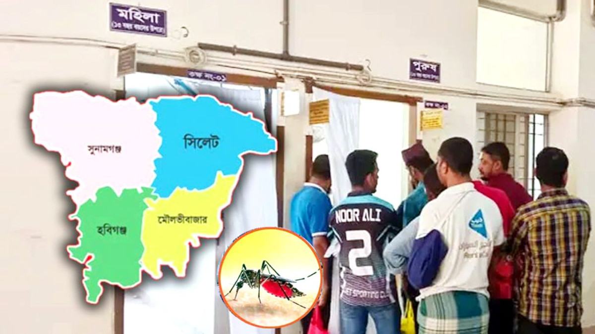 সিলেটে ডেঙ্গুতে আরো ১ জনের মৃত্যু, আক্রান্ত বেড়ে ৩০১